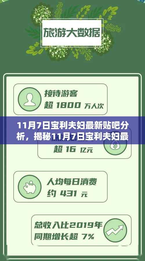 揭秘宝利夫妇最新贴吧动向,深度分析与热议(11月7日更新)