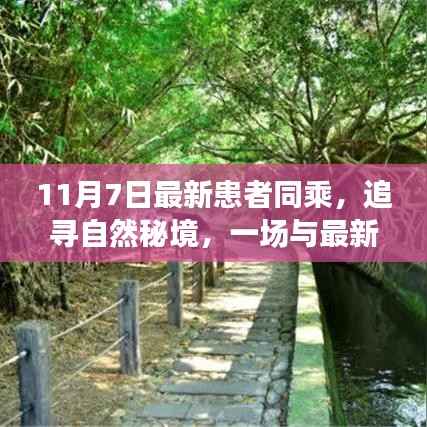 第391页