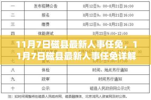 磁县最新人事任免详解，跟进与参与指南