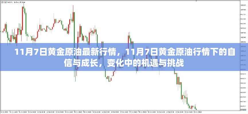 11月7日黄金原油行情下的机遇与挑战,自信与成长之路
