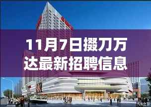 11月7日掇刀万达招聘信息深度解析,最新岗位与职业发展机会探讨