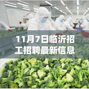 临沂招工招聘最新动态,友情、机遇与家的温暖交织的奇遇日记(11月7日)