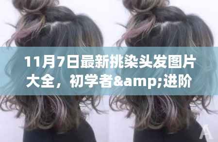 11月7日最新挑染头发图片大全,初学者与进阶用户通用,轻松掌握染发技巧