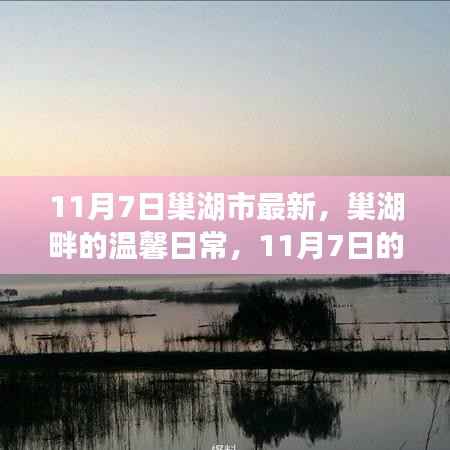 巢湖畔的温馨日常,11月7日暖阳下的友情故事