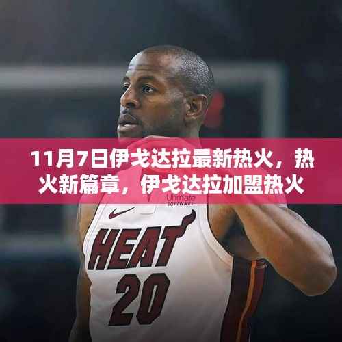 伊戈达拉加盟热火指南,11月7日新篇章,详细步骤适用于初学者与进阶用户