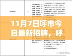 呼市最新招聘动态,11月7日岗位大放送,理想工作一网打尽