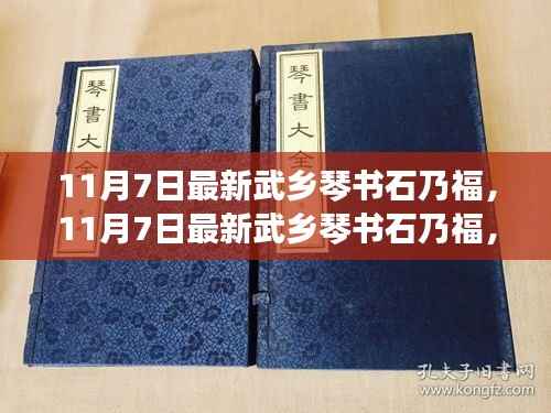 11月7日最新武乡琴书石乃福,全面评测与详细介绍