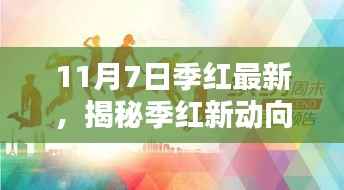 揭秘季红新动向,11月7日精彩展现