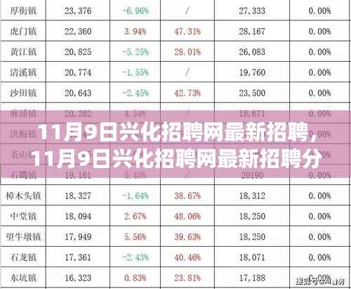 11月9日兴化招聘网最新招聘热点解析，利弊探讨与观点冲突
