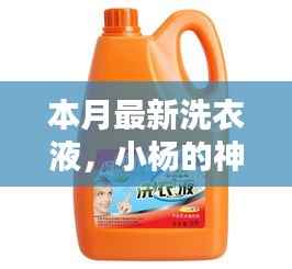 小杨神奇洗衣液,友情魔法与本月最新洗涤体验