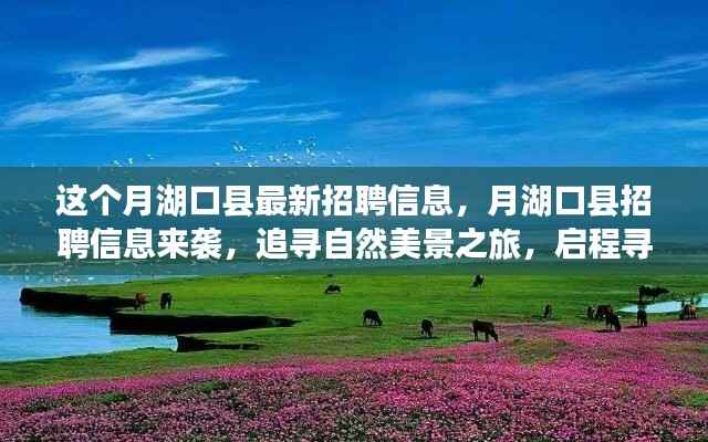 眉开眼笑 第24页