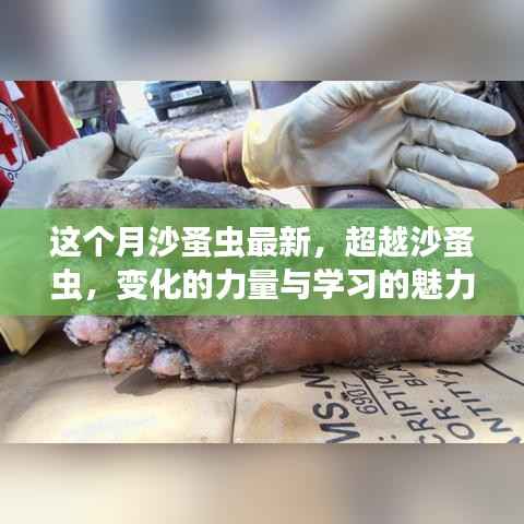 超越沙蚤虫，变化的力量与学习的魅力最新报道