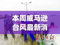 威马逊台风最新动态及分析，多方观点下的深度思考