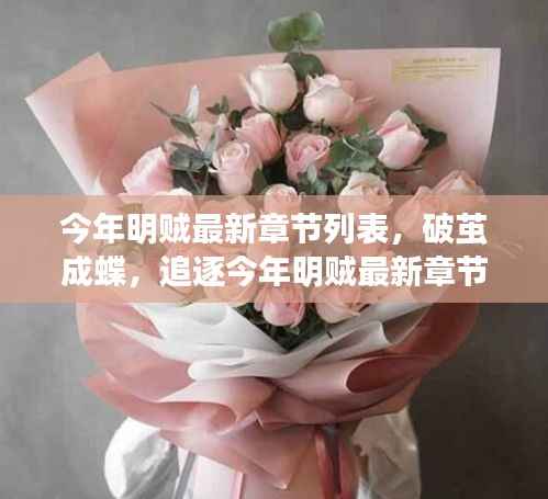 今年明贼最新章节动态,破茧追逐,与变化共舞,自信闪耀的追逐之路