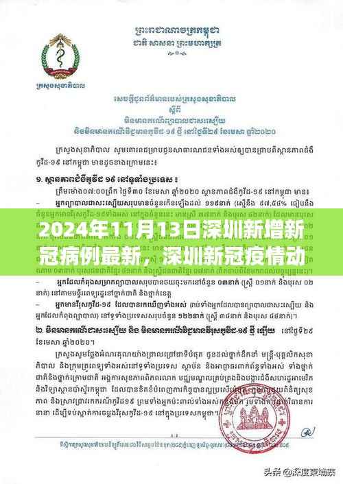 2024年11月13日深圳新冠疫情动态，最新病例增长与防控进展