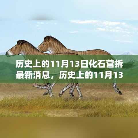 历史上的11月13日,化石营拆除最新进展与消息