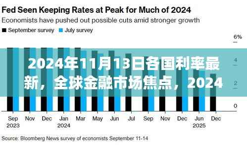全球金融市场焦点,2024年11月13日各国利率最新动态及评测