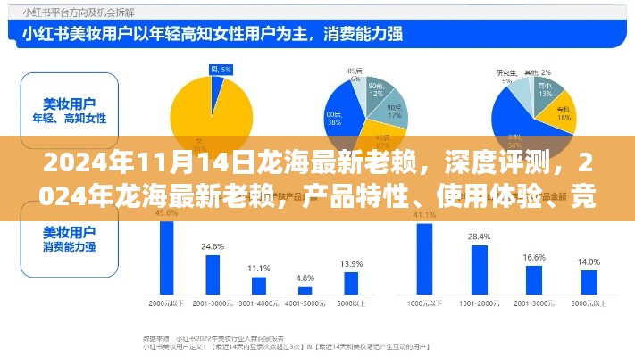 2024年龙海最新老赖深度评测,产品特性、使用体验、竞品对比及用户群体分析