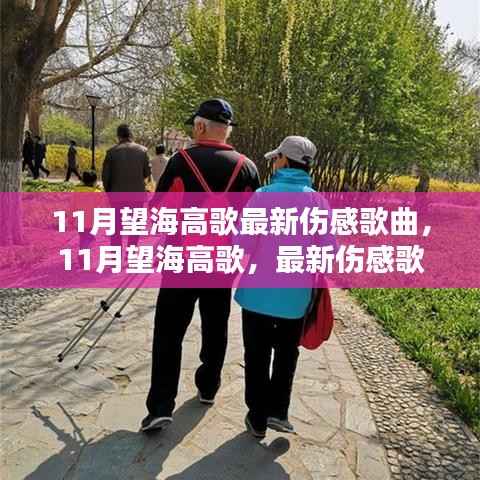 11月望海高歌最新伤感歌曲,情感深度与启示