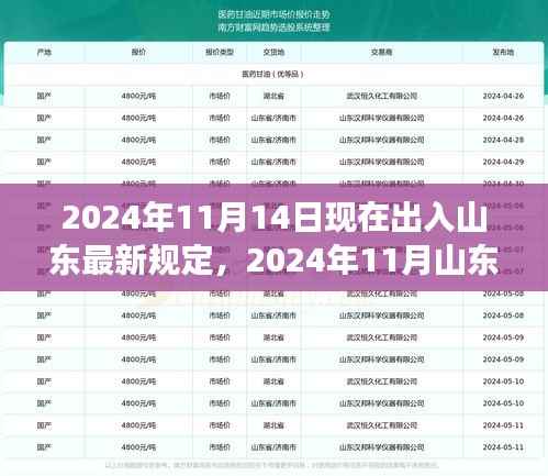 2024年11月山东出入最新规定详解,旅行指南与注意事项