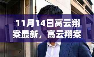 高云翔案最新进展,法律视角下的深度解读(11月14日更新)