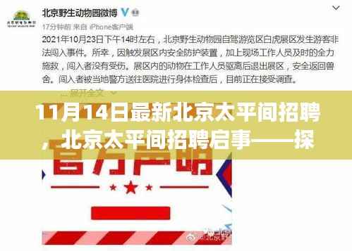 北京太平间招聘启事详解,探寻专业人才的深度之旅(最新招聘启事)