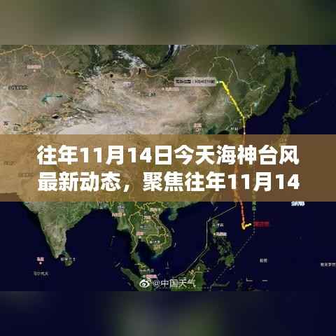 聚焦往年11月14日台风海神动态,深度探讨与观点阐述