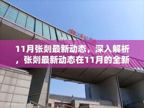 张剡最新动态解析,揭秘其在11月的表现评测与深度观察