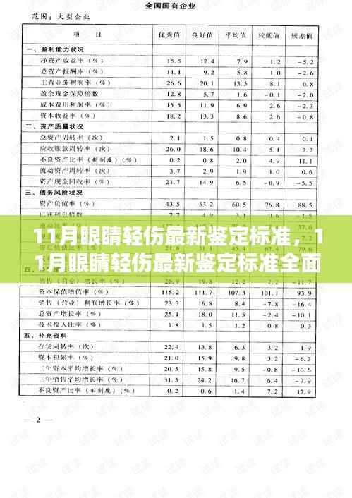 11月眼睛轻伤最新鉴定标准详解与全面评测