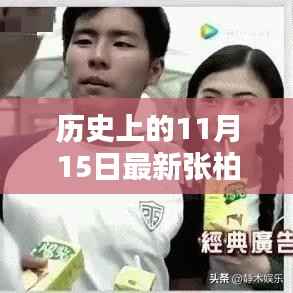 独家揭秘,张柏芝与谢霆锋的11月15日最新动态与历史回顾