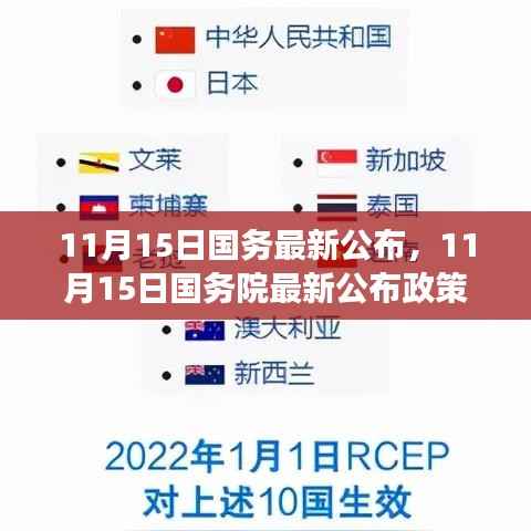 国务院最新政策解读,某某观点下的深度分析,11月15日新政公布影响探讨