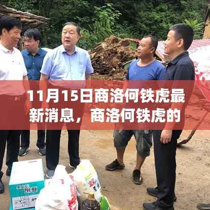 商洛何铁虎最新动态,聚焦11月15日消息更新