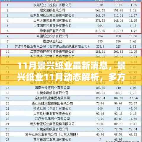 景兴纸业11月最新动态解析与多方视角探讨