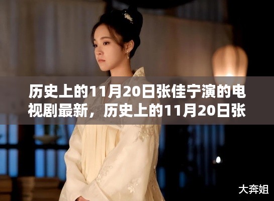 张佳宁电视剧最新篇章,深度评测与介绍——11月20日历史演绎回顾