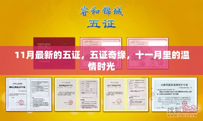 五证奇缘,十一月温情时光里的故事