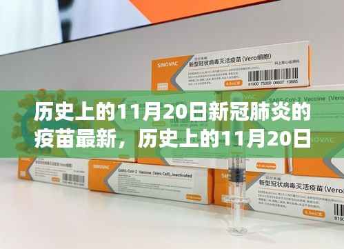 探寻新冠肺炎疫苗最新进展,历史上的11月20日疫苗更新纪实