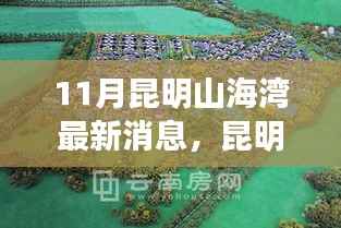昆明山海湾秋日奇遇,揭秘十一月最新动态与温情时光