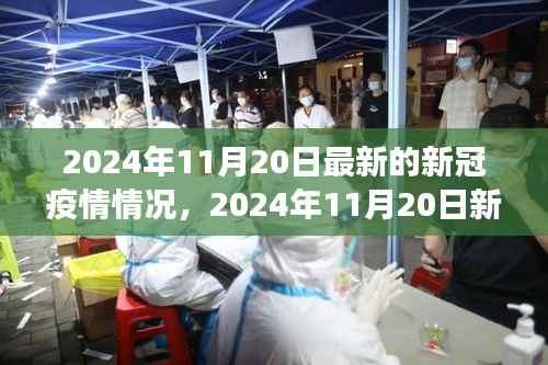 某某视角下的新冠疫情最新形势分析,2024年11月20日最新动态