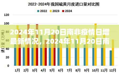 南非疫情最新动态，全面解析与前沿观察（2024年11月20日）