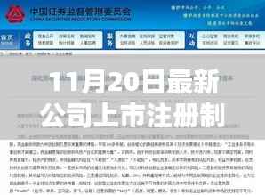 最新公司上市注册制改革深度探析与观点阐述,11月20日全新解读