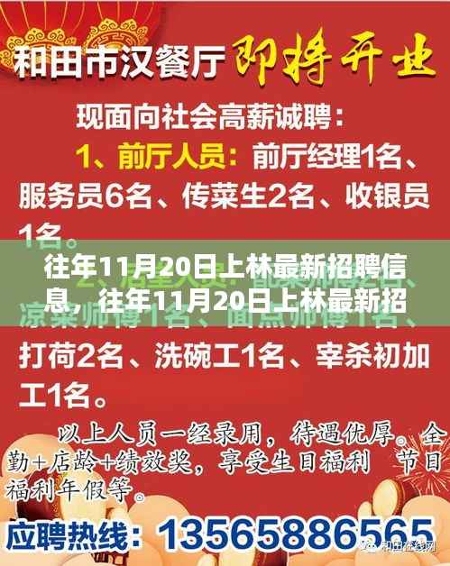 往年11月20日上林最新招聘信息详解与全面评测介绍