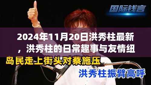 洪秀柱的日常趣事与友情纽带,秋日午后的温馨时光(2024年11月20日最新)