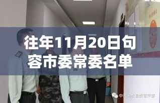 往年11月20日句容市委常委名单最新详解,查询步骤与指南