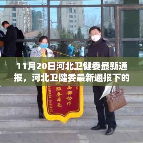 河北卫健委最新疫情防控观察与通报分析,11月20日动态及思考