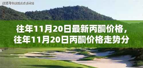 往年11月20日最新丙酮价格，往年11月20日丙酮价格走势分析