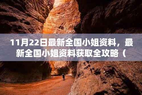 最新全国小姐资料获取全攻略,轻松掌握11月22日最新信息