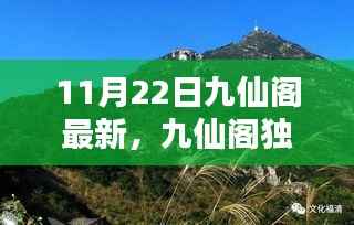九仙阁独家揭秘,最新动态一网打尽,精彩纷呈的11月22日