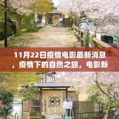 11月22日疫情电影最新消息,疫情下的自然之旅,电影新动态与内心的宁静之旅