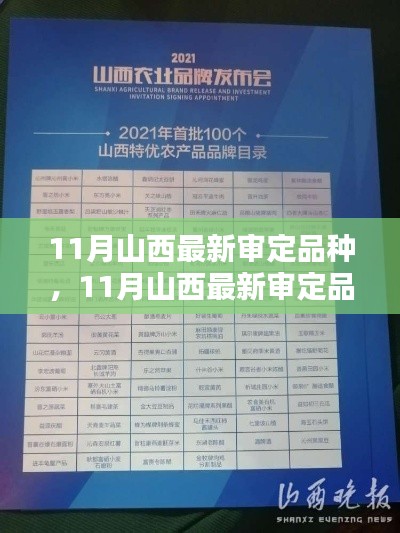 山西最新审定品种产品评测与介绍,11月新品种盘点