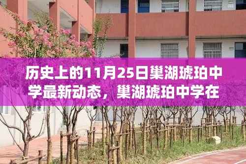 巢湖琥珀中学11月25日最新动态及其历史影响下的思考